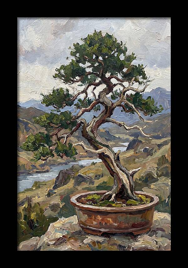 Bonsai Tree Tranquility