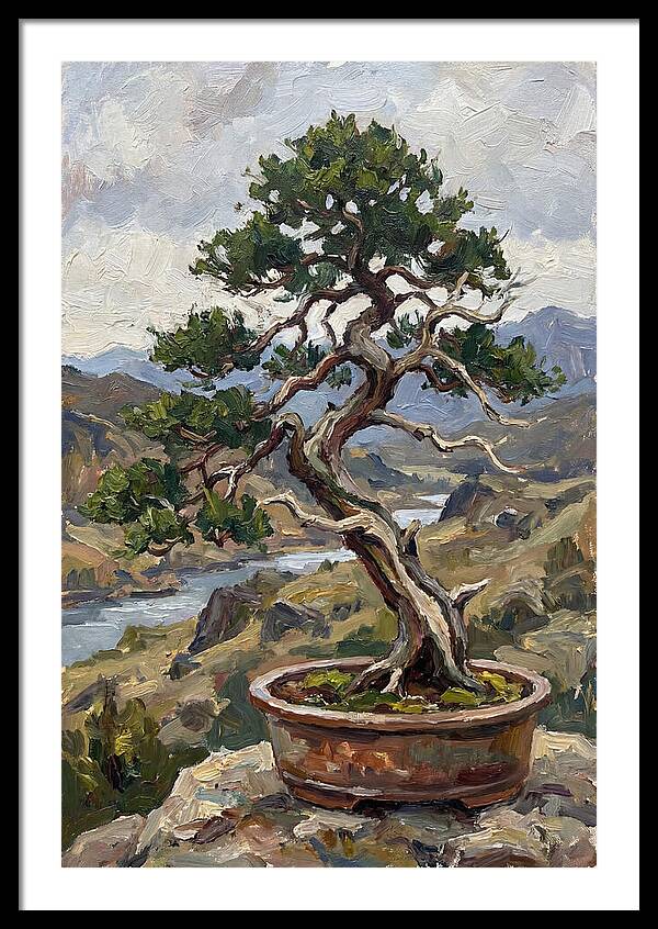 Bonsai Tree Tranquility
