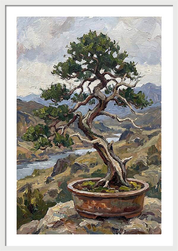 Bonsai Tree Tranquility