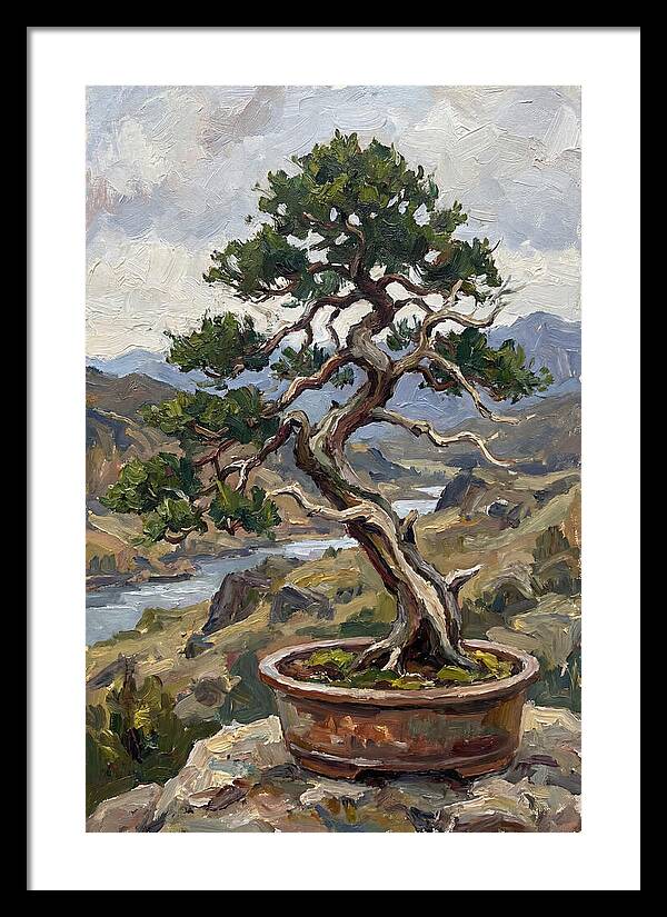 Bonsai Tree Tranquility
