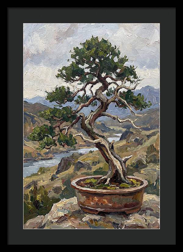Bonsai Tree Tranquility