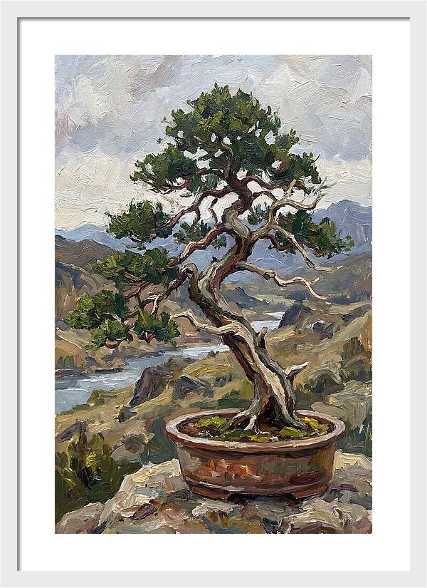 Bonsai Tree Tranquility