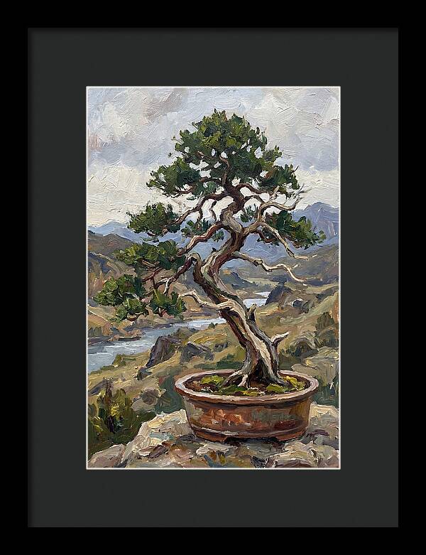 Bonsai Tree Tranquility