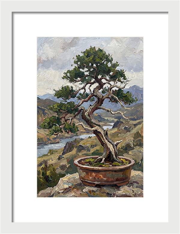 Bonsai Tree Tranquility