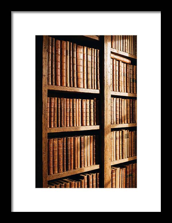 Bookshelf With Leather Spines
