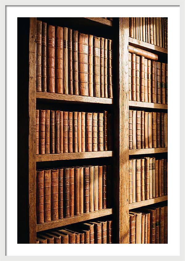 Bookshelf With Leather Spines