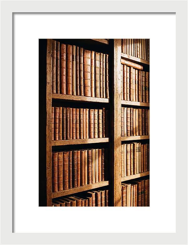 Bookshelf With Leather Spines