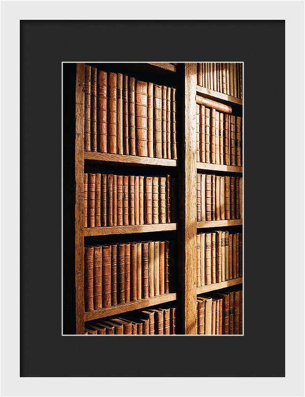 Bookshelf With Leather Spines