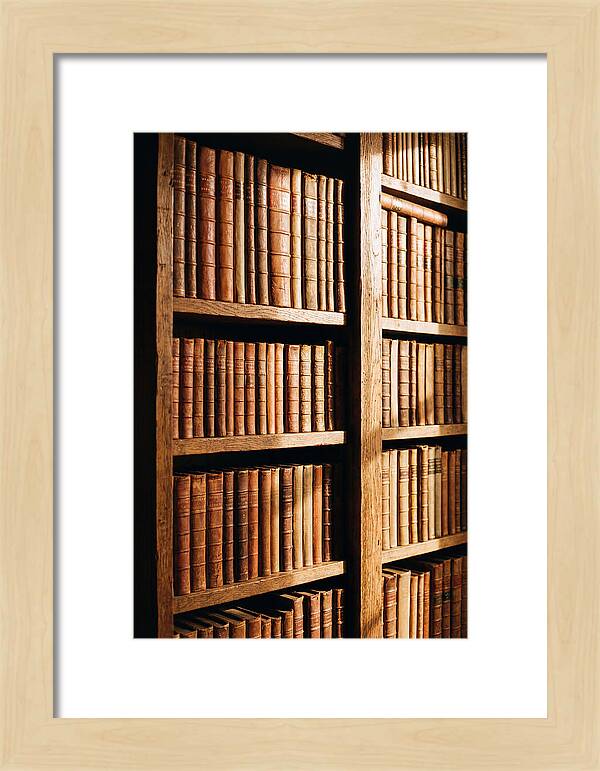 Bookshelf With Leather Spines