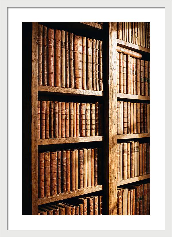 Bookshelf With Leather Spines