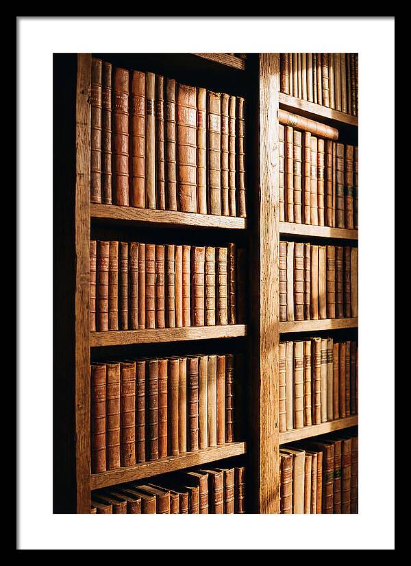 Bookshelf With Leather Spines