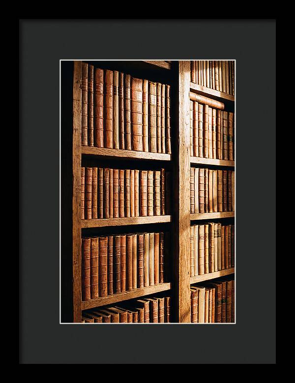Bookshelf With Leather Spines