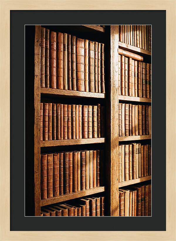 Bookshelf With Leather Spines