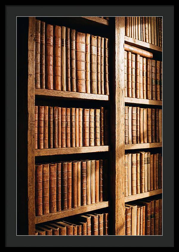Bookshelf With Leather Spines