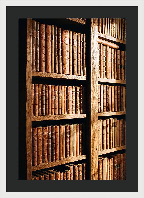Bookshelf With Leather Spines