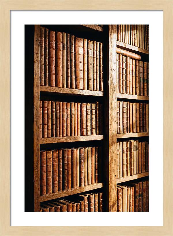 Bookshelf With Leather Spines