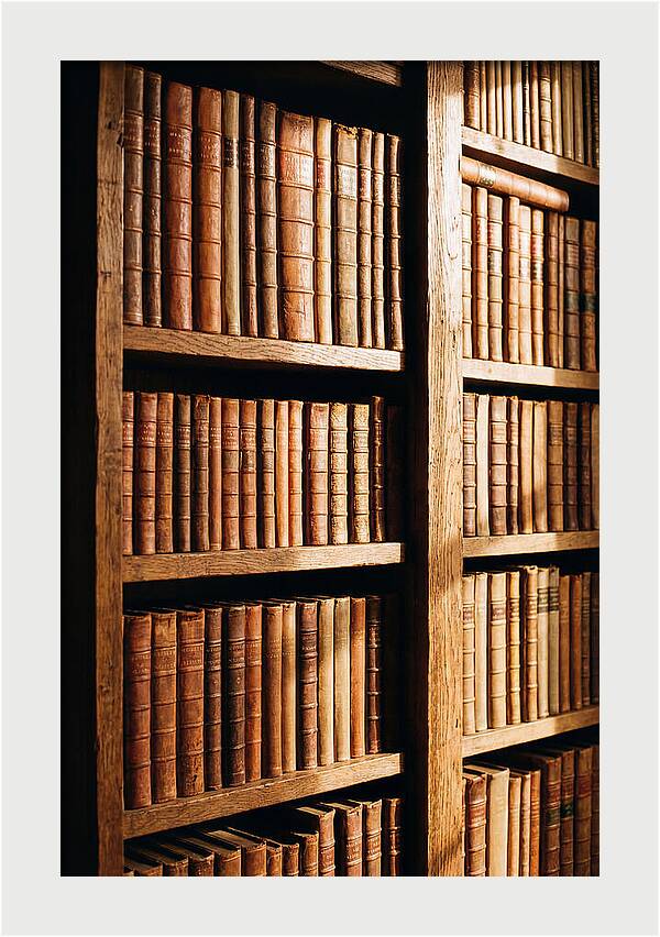 Bookshelf With Leather Spines