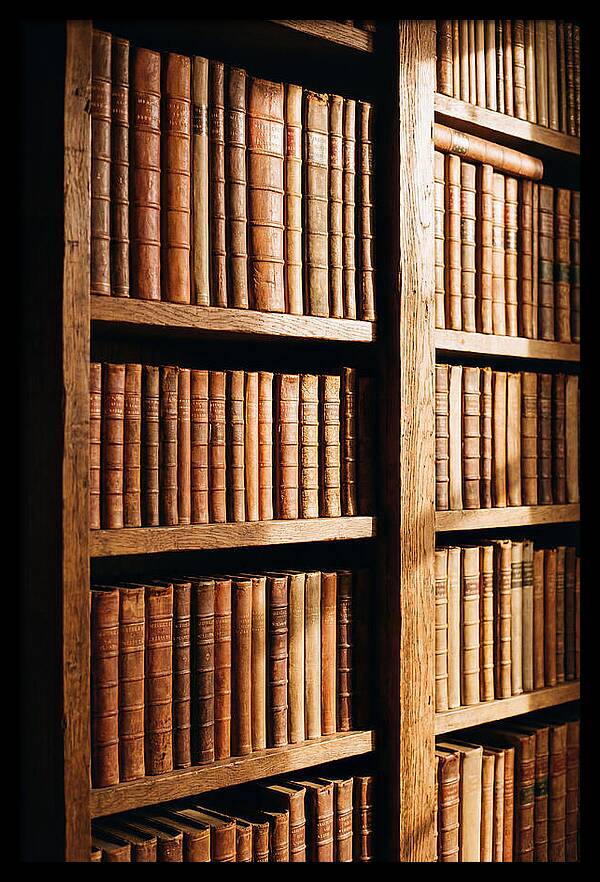 Bookshelf With Leather Spines