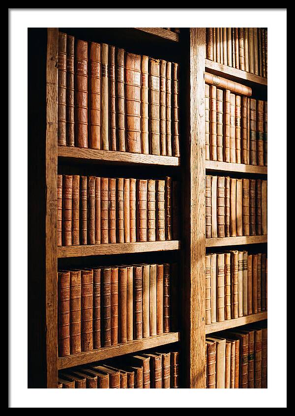 Bookshelf With Leather Spines