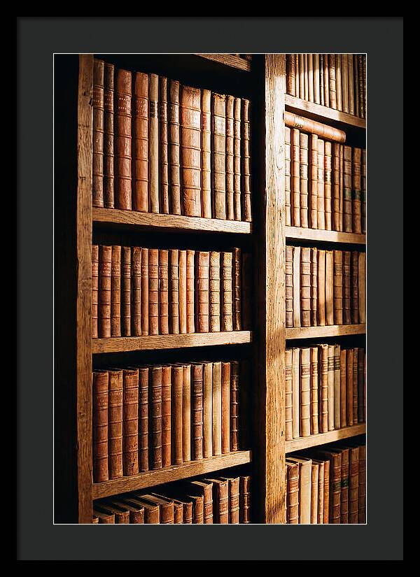 Bookshelf With Leather Spines