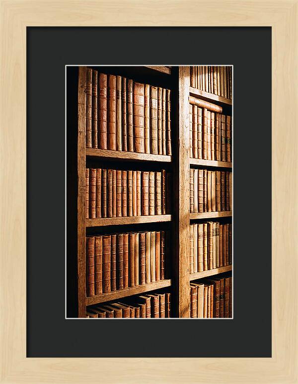 Bookshelf With Leather Spines