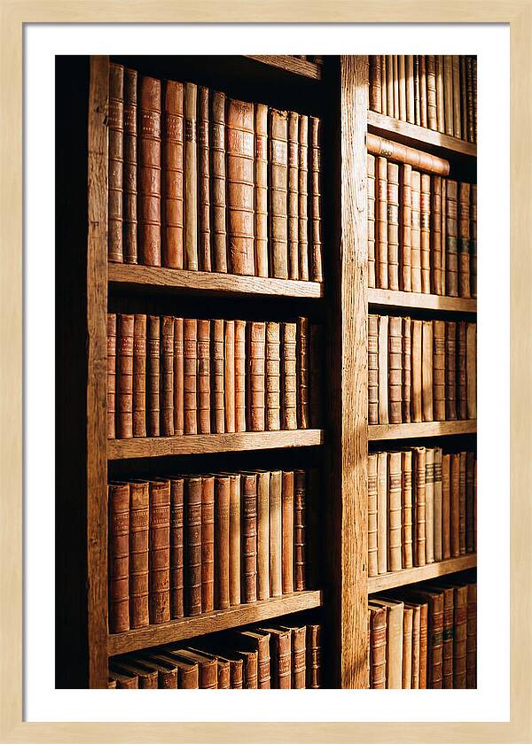 Bookshelf With Leather Spines