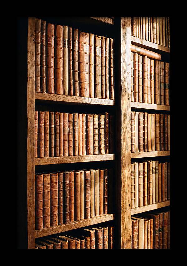 Bookshelf With Leather Spines