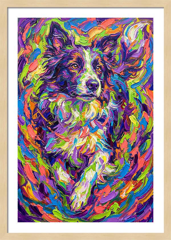 Border Collie In Vibrant Colors