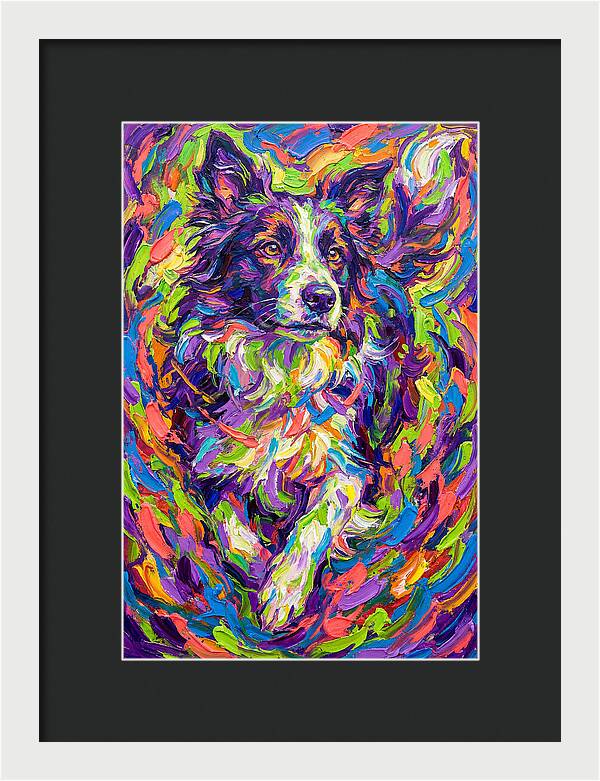 Border Collie In Vibrant Colors