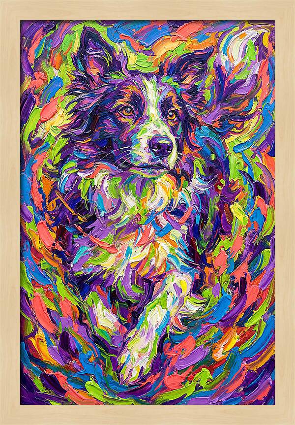 Border Collie In Vibrant Colors