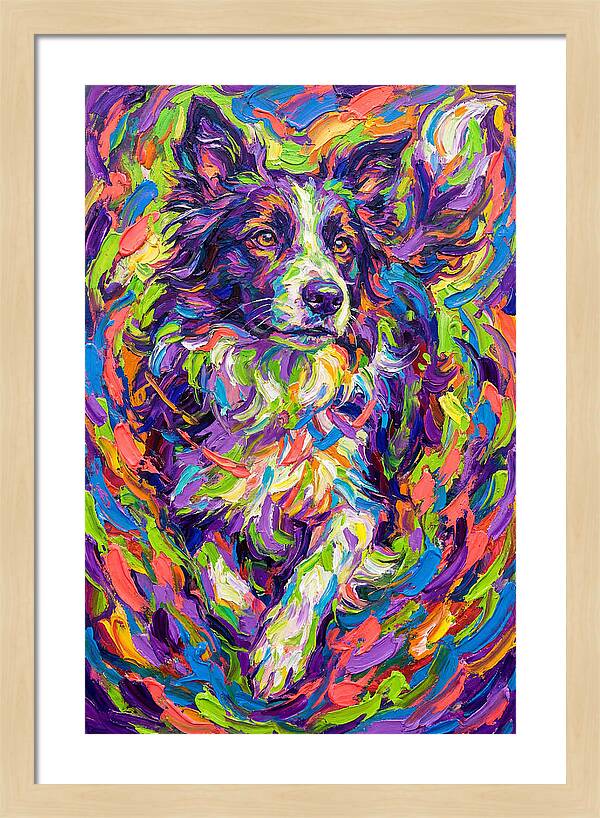 Border Collie In Vibrant Colors