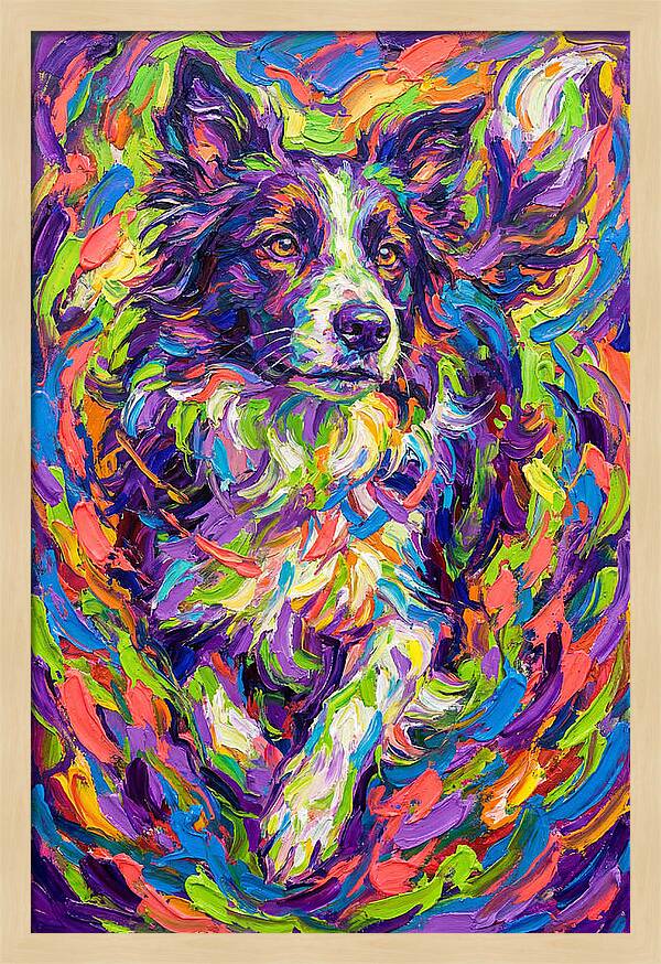 Border Collie In Vibrant Colors