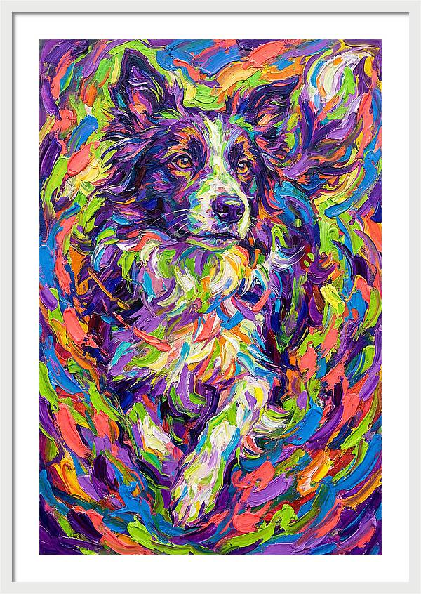 Border Collie In Vibrant Colors