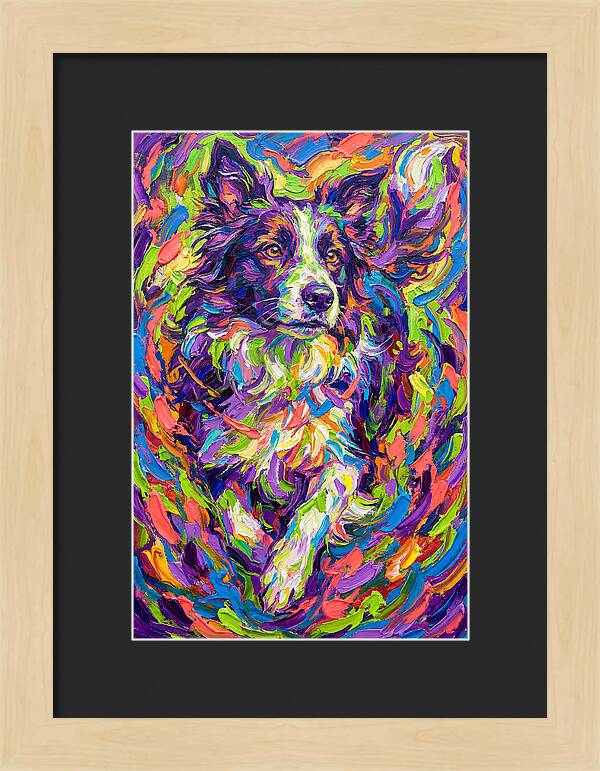 Border Collie In Vibrant Colors