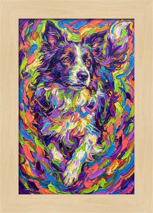 Border Collie In Vibrant Colors