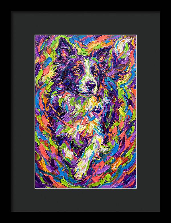 Border Collie In Vibrant Colors