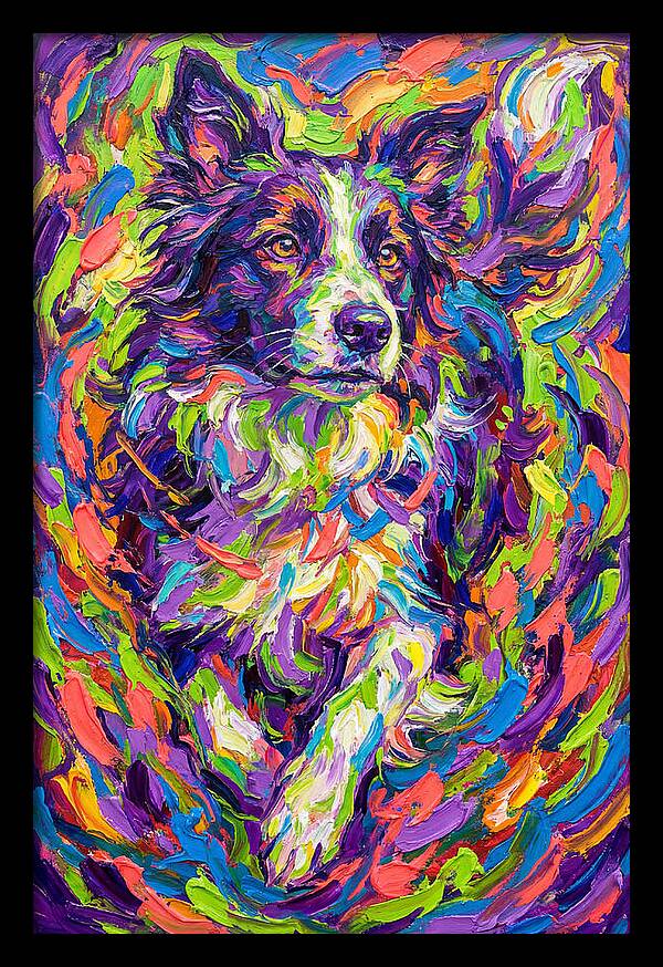 Border Collie In Vibrant Colors