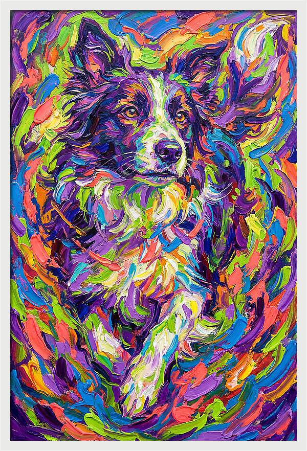 Border Collie In Vibrant Colors