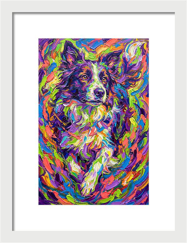 Border Collie In Vibrant Colors