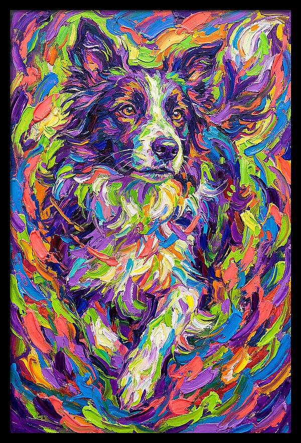 Border Collie In Vibrant Colors