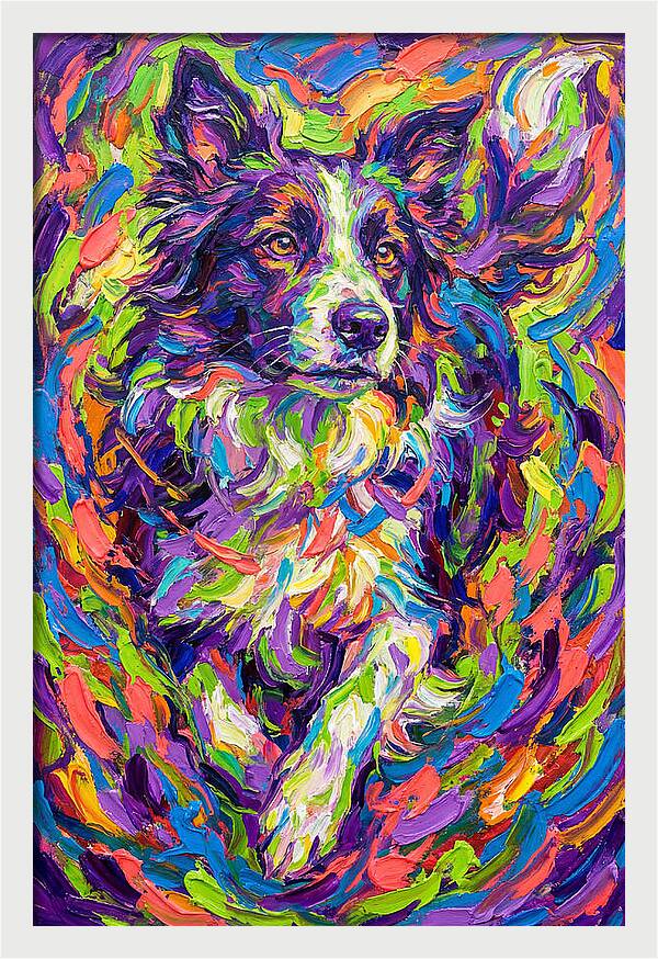 Border Collie In Vibrant Colors