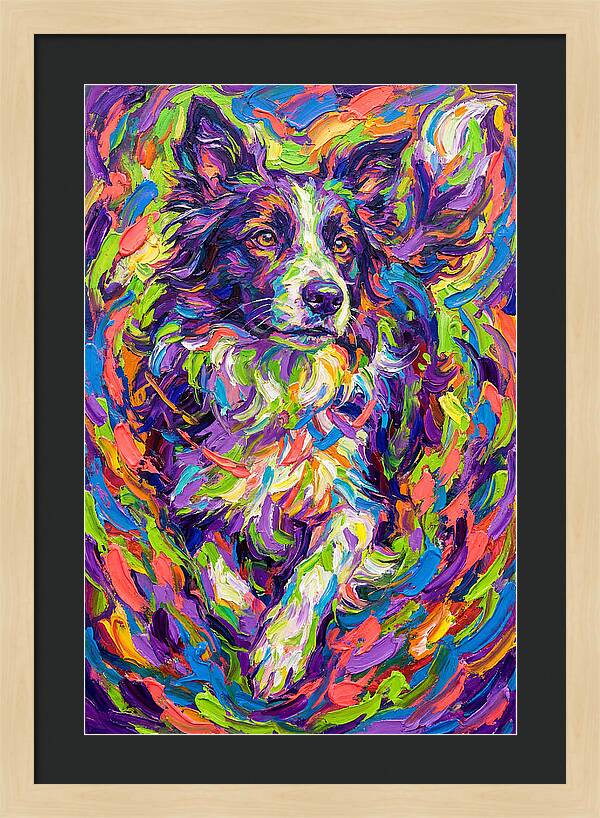 Border Collie In Vibrant Colors