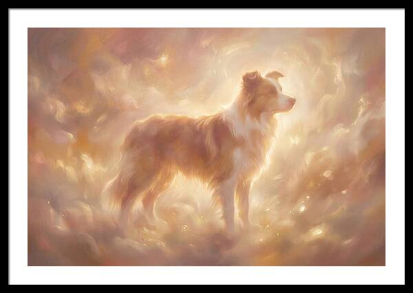 Border Collie Portrait