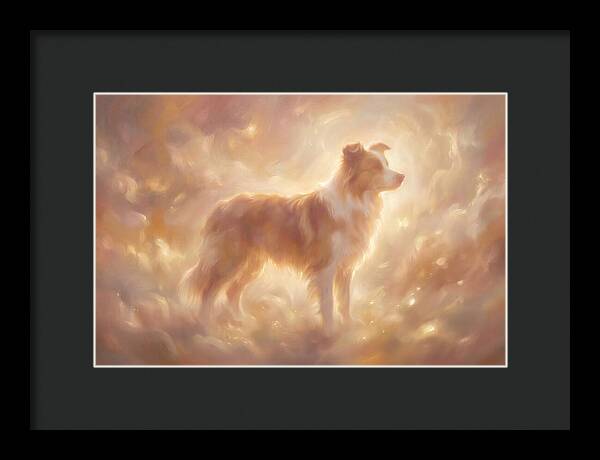 Border Collie Portrait