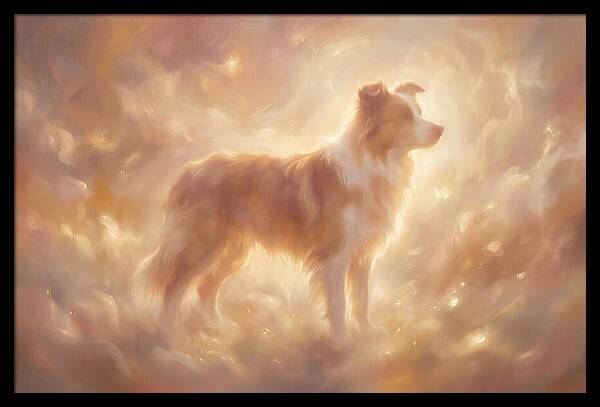 Border Collie Portrait