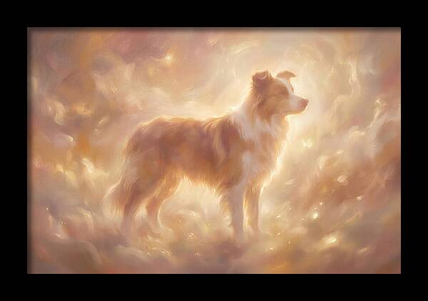 Border Collie Portrait