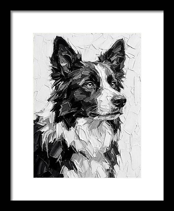 Border Collie Portrait In Monochrome