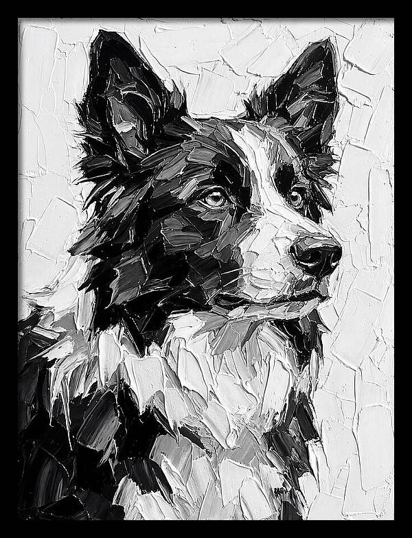 Border Collie Portrait In Monochrome