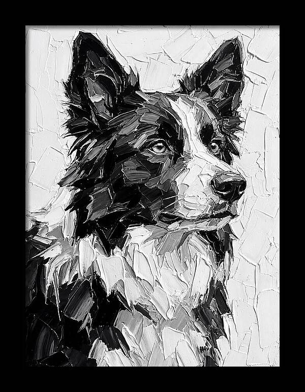 Border Collie Portrait In Monochrome