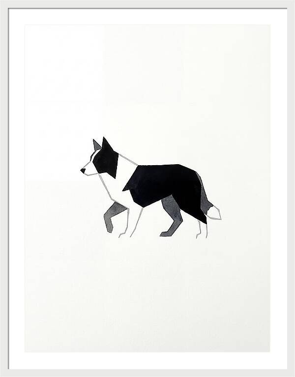 Border Collie Silhouette